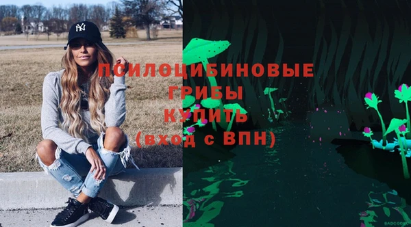 дживик Баксан