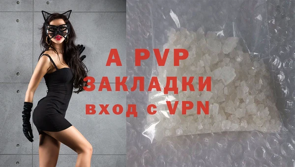 дживик Баксан