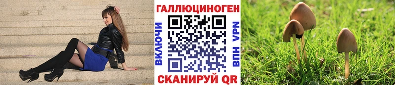 мега ССЫЛКА  Новомичуринск  Псилоцибиновые грибы Cubensis 